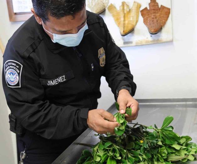 Interceptan agentes rara plaga en envío de flores