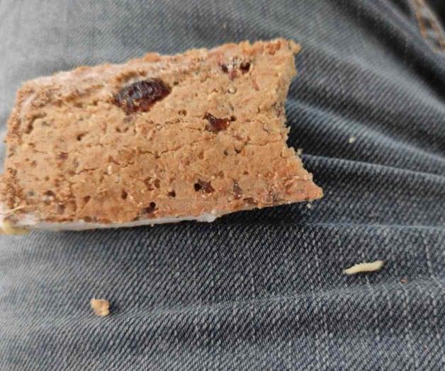 Detectan barritas nutricionales con larvas Detectan barritas nutricionales con larvas