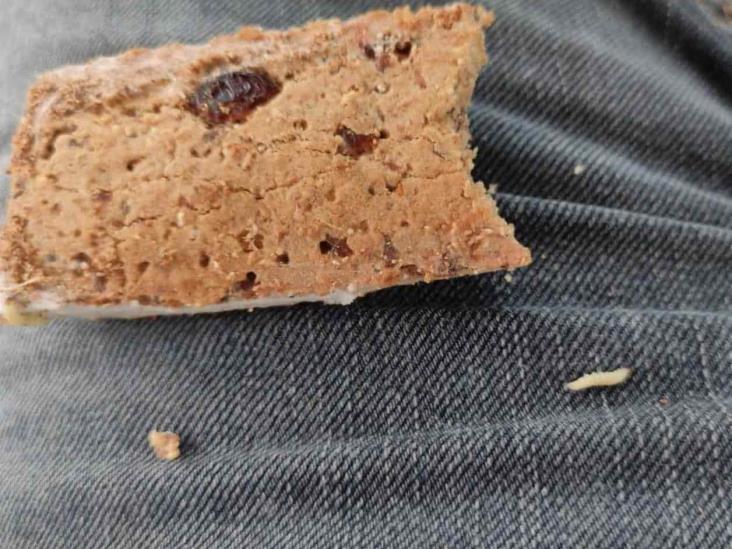 Detectan barritas nutricionales con larvas Detectan barritas nutricionales con larvas
