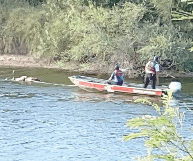 Flota ahogado en el Anzaldúas Flota ahogado en el Anzaldúas