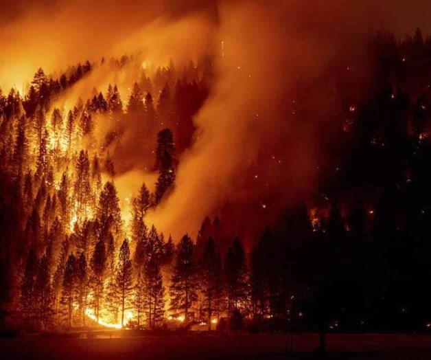 ¡Crece sin control!