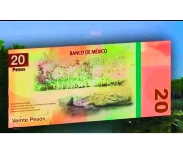 Banxico alista salida de Juárez y Morelos en nuevos billetes de 20 y 50 pesos
