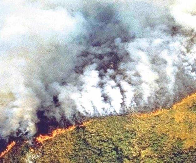 Consume incendio bosques en Bolivia