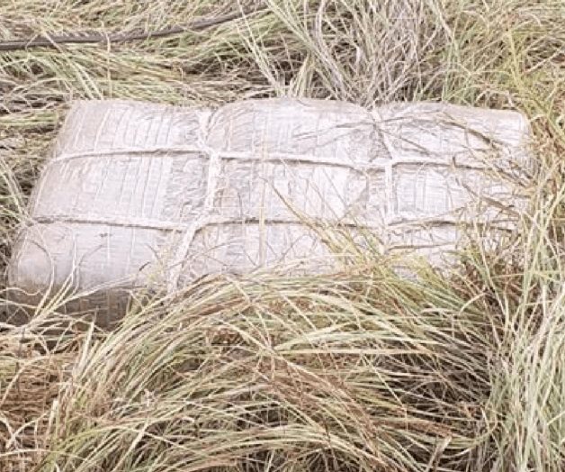 Cuantioso decomiso de drogas en el RGV