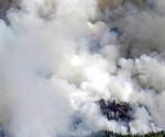 Incendio forestal consume docenas de viviendas en Minnesota