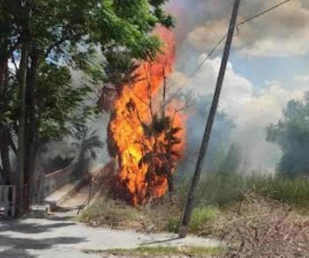 Se registra incendio en arroyo “El Buey”