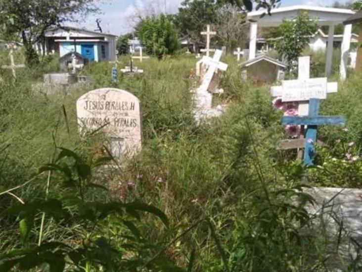 Es panteón municipal criadero de zancudos Es panteón municipal criadero de zancudos