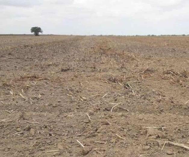 Piden formar el Consejo Técnico del distrito 157