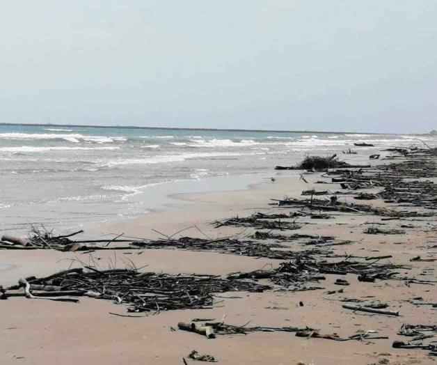 Contaminan Miramar con hidrocarburos Contaminan Miramar con hidrocarburos