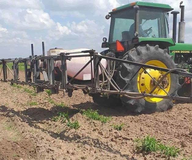 Instruyen en aspersión para combate a plagas en agro