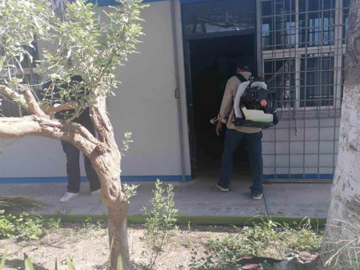 Intensifican acciones de fumigación, abatización y sanitización Intensifican acciones de fumigación, abatización y sanitización