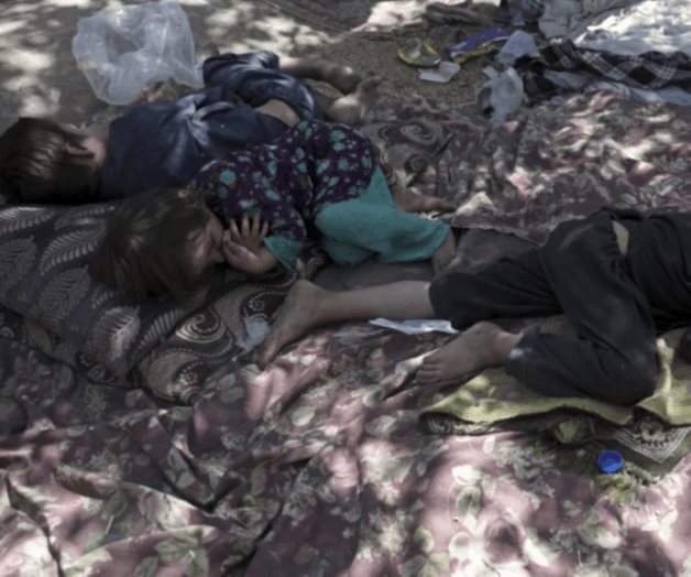 Niños afganos se enferman por hongos venenosos en Polonia