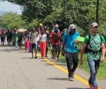 Caravana de más de 500 migrantes avanzó por la carretera costera de Chiapas