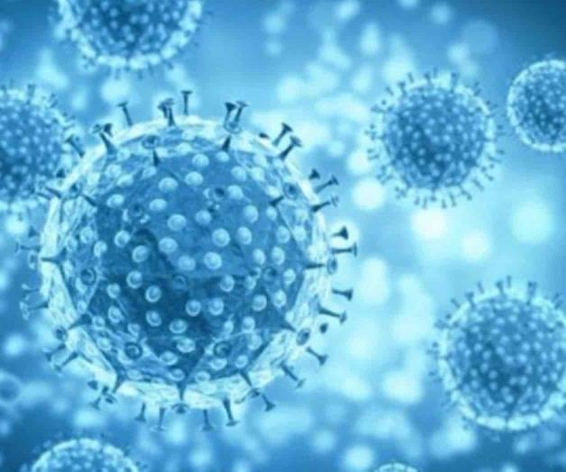 La variante Delta duplica el riesgo de hospitalización por covid-19 en comparación con la Alfa La variante Delta duplica el riesgo de hospitalización por covid-19 en comparación con la Alfa