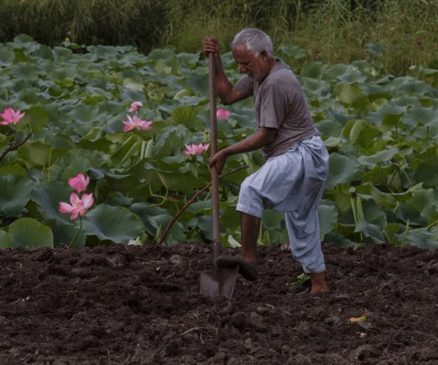 Nueva norma de aguas viola T-MEC y tratados internacionales: Concamin Nueva norma de aguas viola T-MEC y tratados internacionales: Concamin