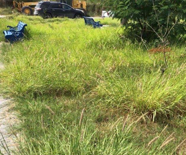 Piden vecinos del Valle Dorado limpieza y desmonte de la plaza pública Piden vecinos del Valle Dorado limpieza y desmonte de la plaza pública