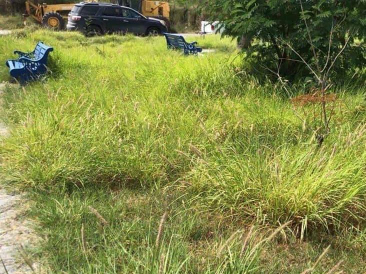 Piden vecinos del Valle Dorado limpieza y desmonte de la plaza pública Piden vecinos del Valle Dorado limpieza y desmonte de la plaza pública