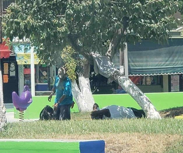 Piden prevenir golpe de calor