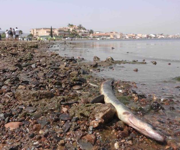 Antropoceno: lecturas para el fin del mundo Antropoceno: lecturas para el fin del mundo