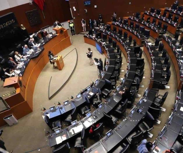 Avalan prohibición de uso de animales en pruebas cosméticas Avalan prohibición de uso de animales en pruebas cosméticas