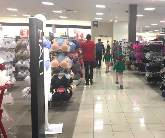 Recaudación de impuestos a la alza durante este año