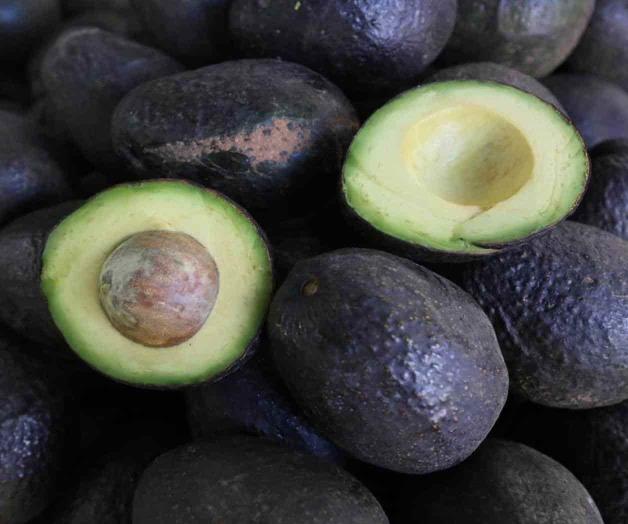 Aguacate y la vainilla son cultivos amenazados