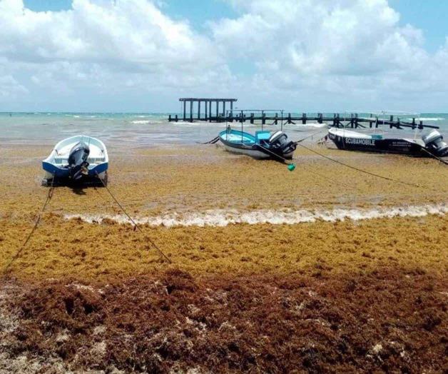 Cambio climático: amenaza en casa