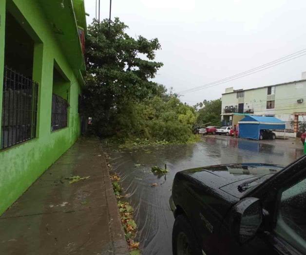 Esperan más lluvias el lunes para Tamaulipas Esperan más lluvias el lunes para Tamaulipas