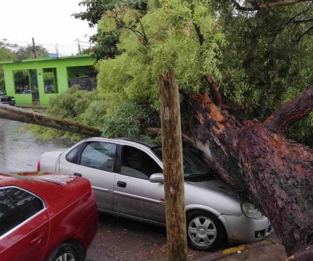 Actividad ciclónica propiciará lluvias