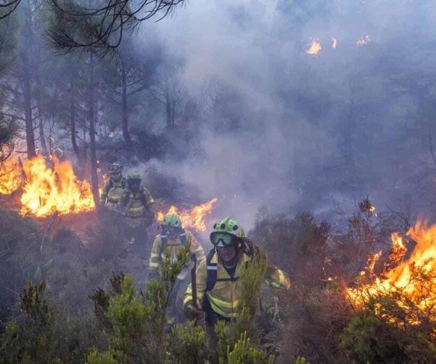 Denuncian muertes de defensores de recursos ambientales Denuncian muertes de defensores de recursos ambientales