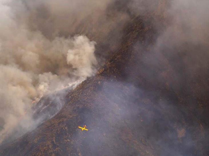 La lluvia ayuda a controlar gran incendio en sur de España La lluvia ayuda a controlar gran incendio en sur de España