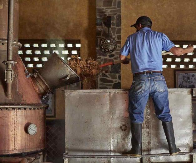 Hacen 16 litros de tequila por segundo Hacen 16 litros de tequila por segundo