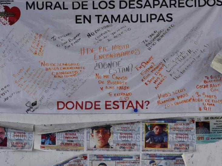 Continúa la lucha para localizar desaparecidos Continúa la lucha para localizar desaparecidos
