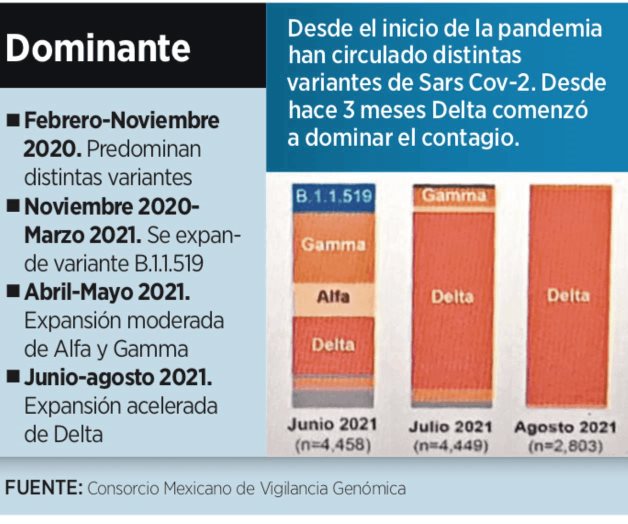 Sigue alerta máxima; Reynosa estancada en Fase 1 por la pandemia Sigue alerta máxima; Reynosa estancada en Fase 1 por la pandemia