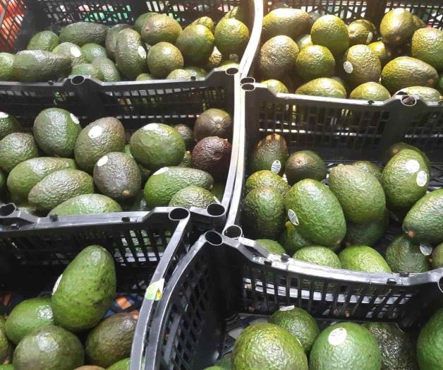 Se dispara precio del aguacate