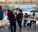 Llevan a cabo vacunación de mascotas