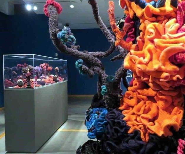 Tejen conciencia de cuidado global