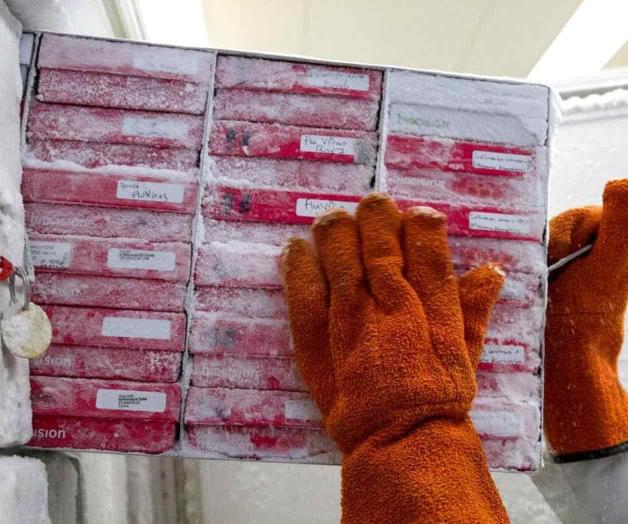 COVID-19 iguala número de muertes de fiebre española en EEUU COVID-19 iguala número de muertes de fiebre española en EEUU
