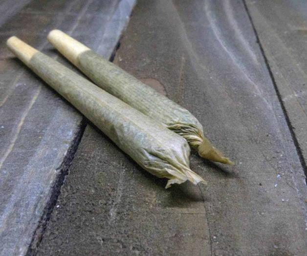 Niega Cofepris solicitudes de uso lúdico de marihuana Niega Cofepris solicitudes de uso lúdico de marihuana