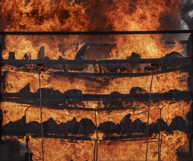 India quema cuernos de rinoceronte contra el comercio ilegal