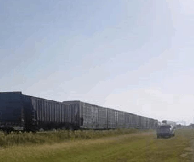 Arrestan a ilegales en varios operativos