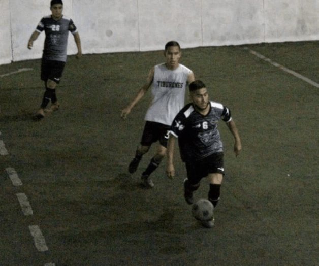 Listos Búfalos para una nueva aventura