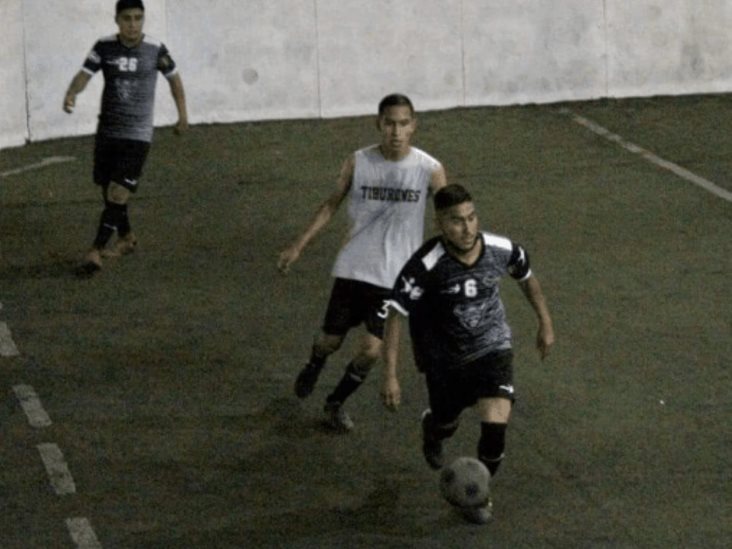 Listos Búfalos para una nueva aventura Listos Búfalos para una nueva aventura