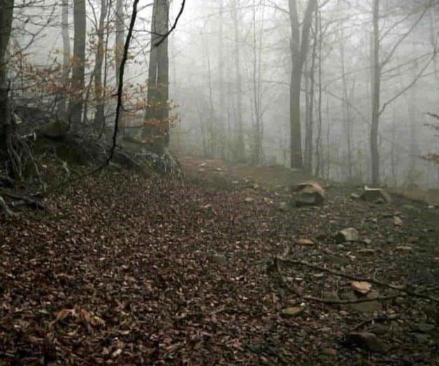 Exhibe Max de Esteban riesgos de inteligencia artificial