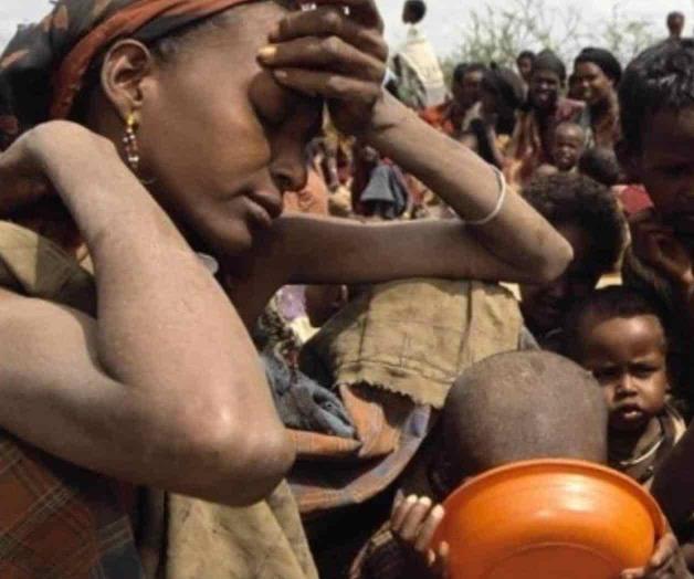 La pérdida de alimentos cada año se estima en 400 mil mdd: FAO