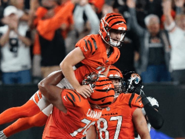Hunden los Bengalíes a Jacksonville Hunden los Bengalíes a Jacksonville