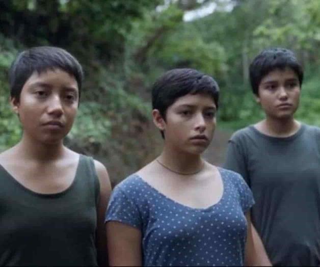 Cosecha más éxitos