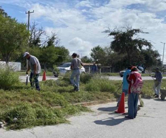 Reactivan limpieza de los camellones Reactivan limpieza de los camellones