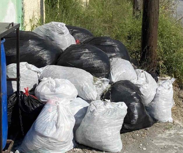 Copada de basura y también maleza Copada de basura y también maleza