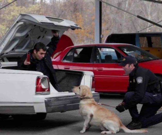Equipo canino, gran herramienta del CBP Equipo canino, gran herramienta del CBP